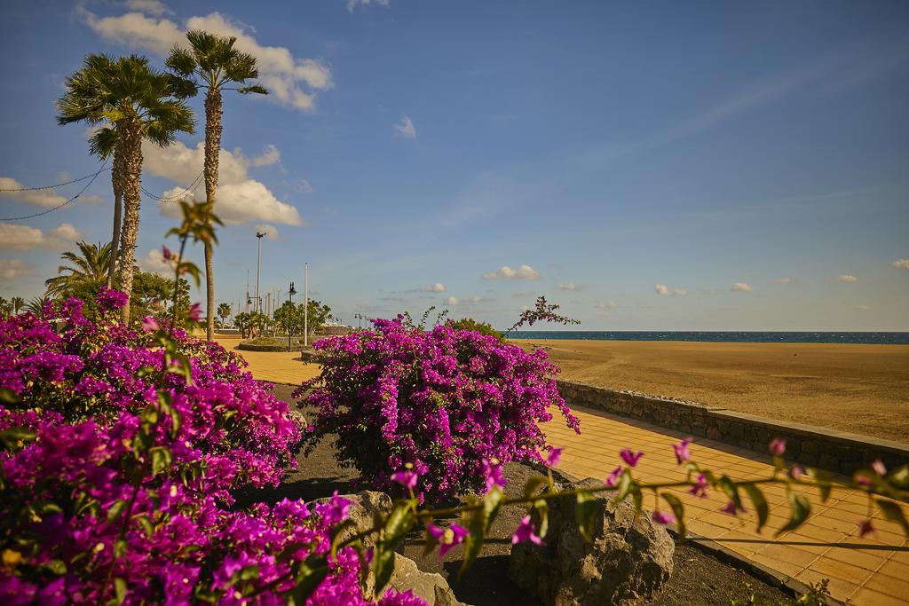 Villa Palmeras Beach Puerto Del Carmen Puerto del Carmen  Exteriér fotografie